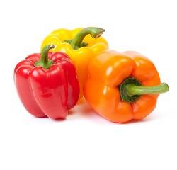 فلفل دلمه رنگی